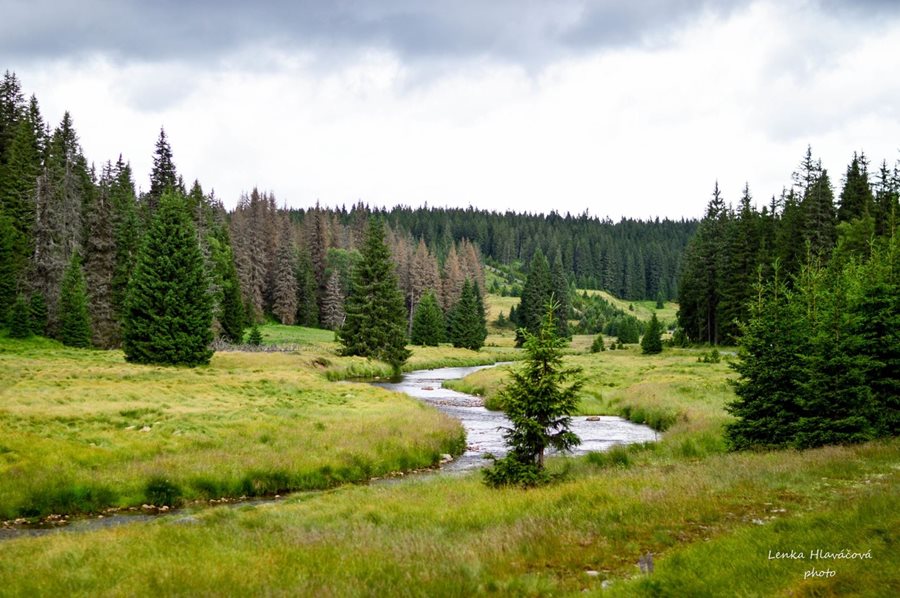 Sumava in Tsjechie met bossen en rivieren